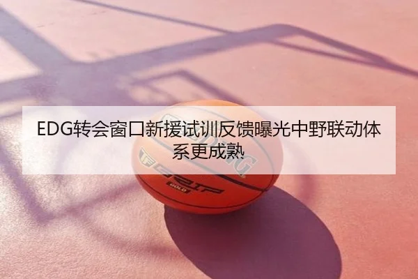 EDG转会窗口新援试训反馈曝光中野联动体系更成熟