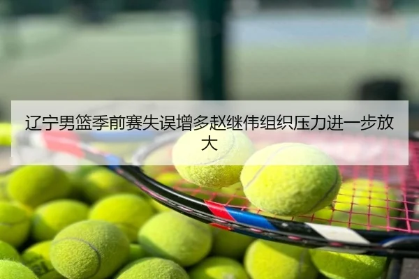 辽宁男篮季前赛失误增多赵继伟组织压力进一步放大
