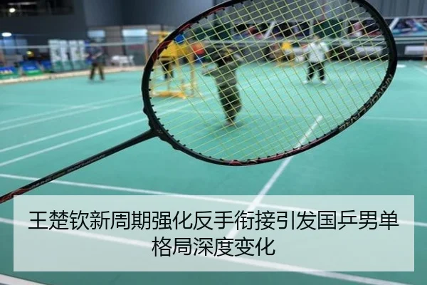 王楚钦新周期强化反手衔接引发国乒男单格局深度变化